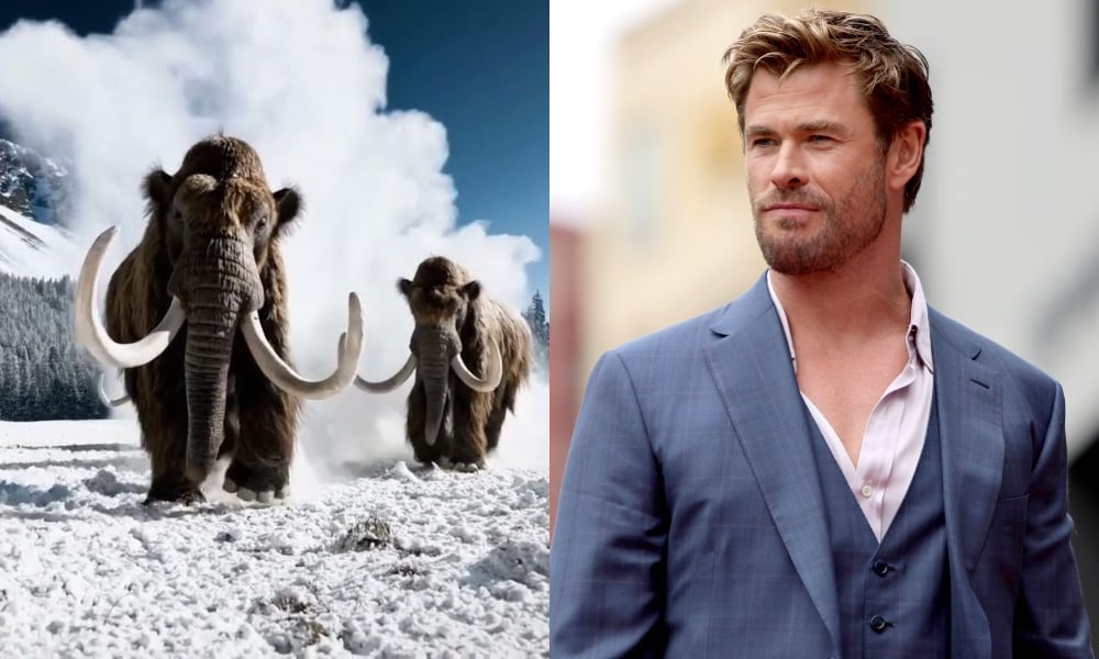 Une entreprise soutenue par Chris Hemsworth prévoit de faire revivre Woolly Mammoth d'ici 2028 Le retour du mammouth : un voyage vers la désextinction Two woolly mammoths running through the snow on the left, and actor Chris Hemsworth in a sharp suit on the right.