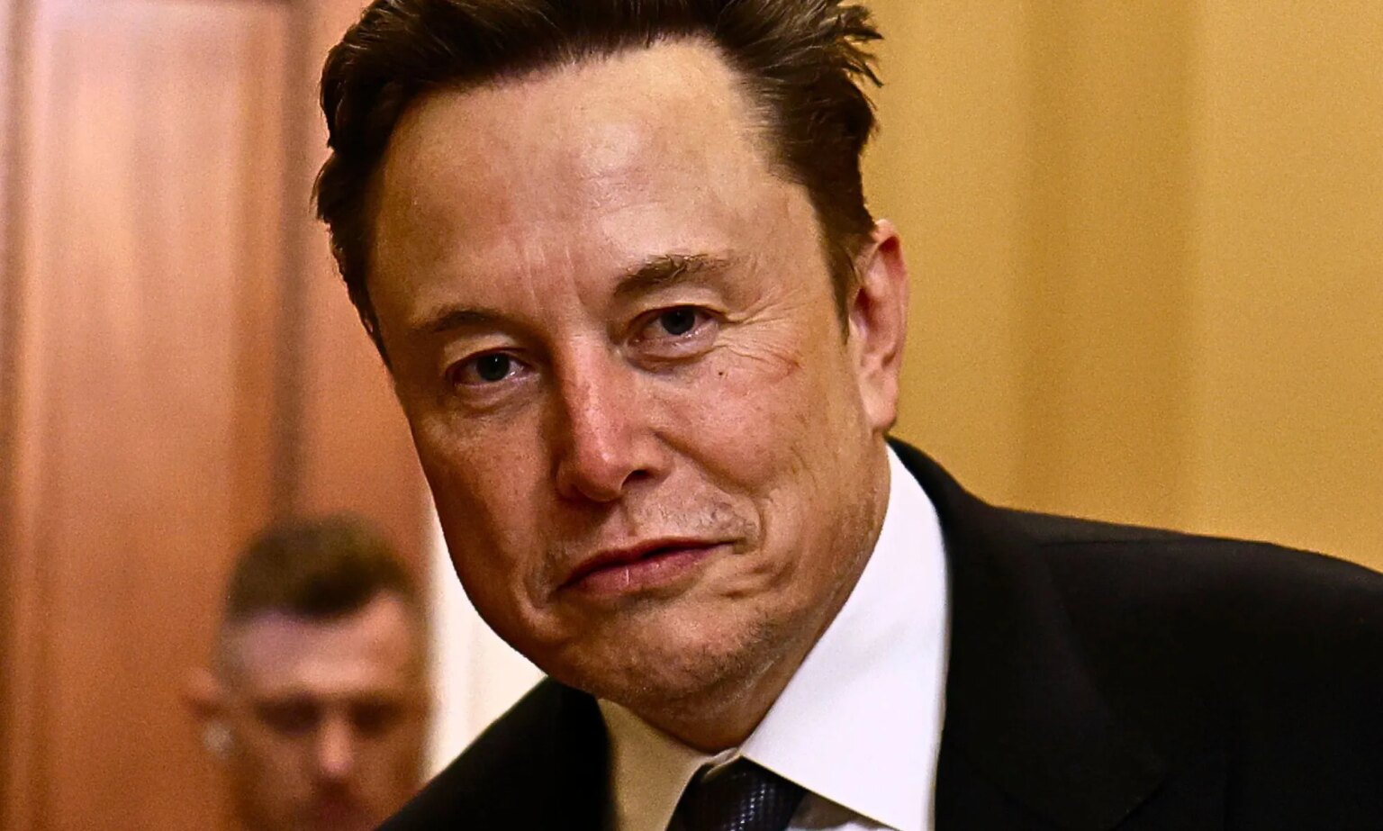 Les Républicains veulent confier cette position gouvernementale puissante à Elon Musk pour « perturber le marais » Elon Musk, pictured.