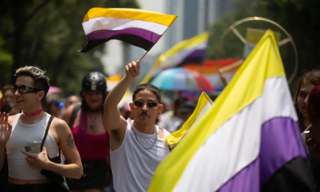 Il s'agit d'une image d'une personne non binaire brandissant le drapeau non binaire lors d'une marche à Mexico.