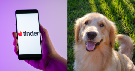 Photo divisée du logo Tinder sur un téléphone et d'un chien Golden Retriever.