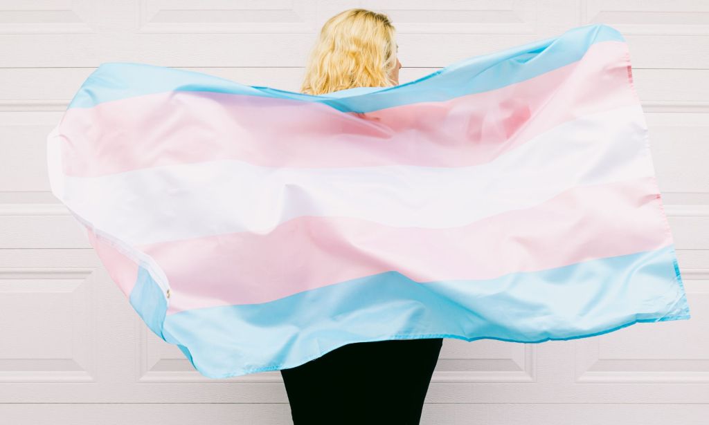 Une personne tenant un drapeau trans.