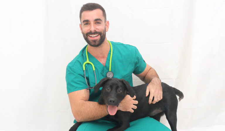 Pourquoi les chiens nous font nous sentir entiers - le point de vue d'un vétérinaire gay