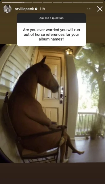 Orville Peck Insta Story # 5