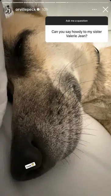 Orville Peck Insta Story # 9