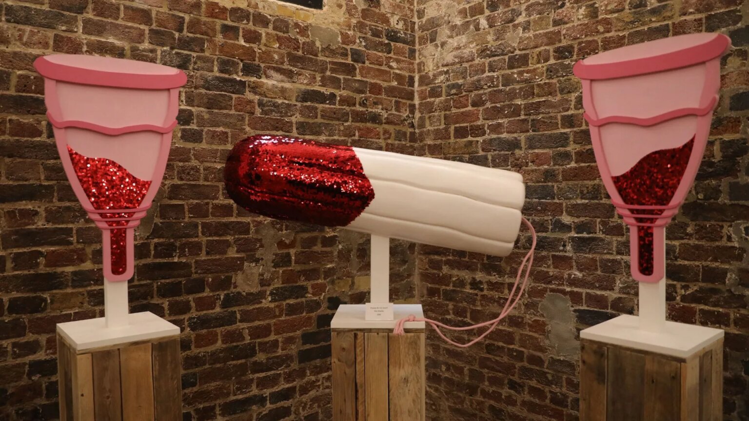 Interior shot of the Vagina Museum in London, with models of menstrual cups and a tampon