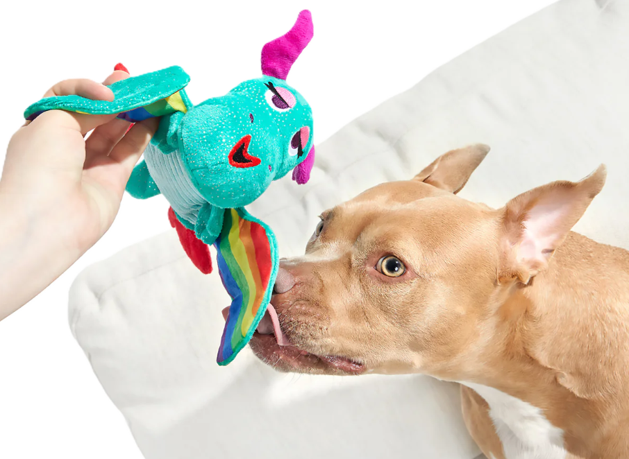 L'énorme rangée du mois de la fierté s'éclate sur les jouets pour chiens, avec une barkbox accusée d'être `` sans spin et sans âme ''