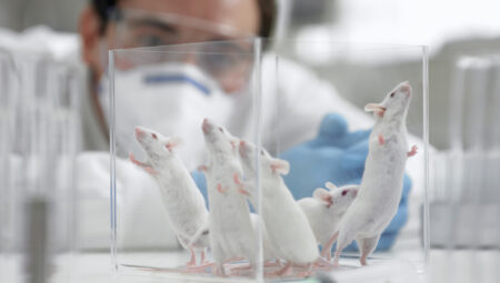 PETA Jeffrey Brown argues that recent medical breakthroughs involving mice shouldn't be celebrated. (Getty)