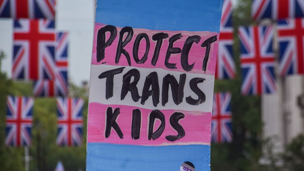 Lectures de pancartes "protéger les enfants trans" réalisé aux couleurs du drapeau trans