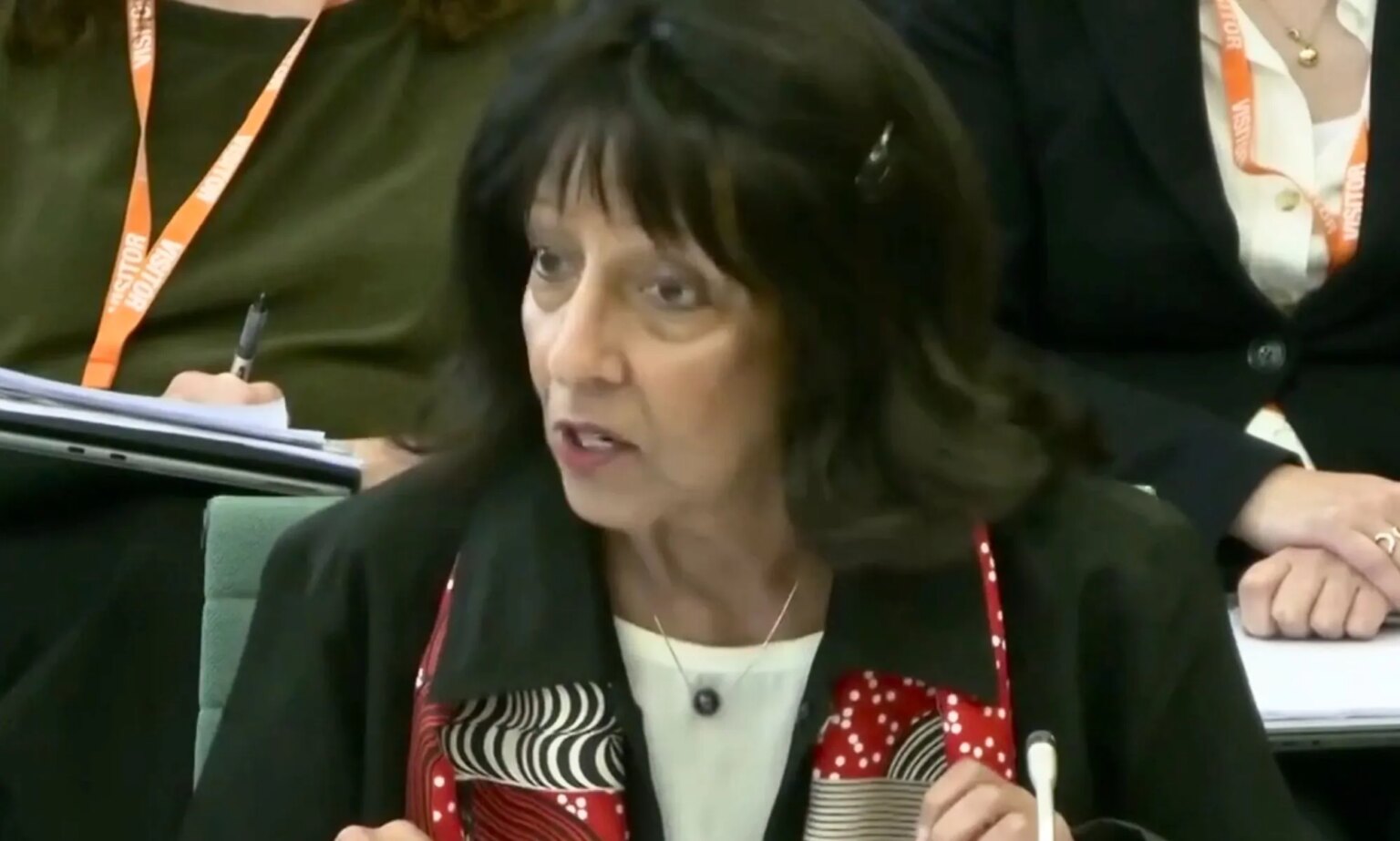 L'EHRC est accusé d'avoir rédigé des directives trans controversées en moins d'une journée, selon le tribunal EHRC chair, Kishwer Falkner.