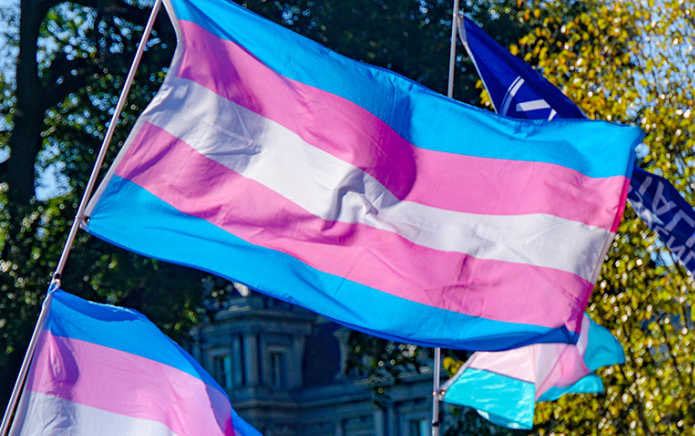 Une fuite des directives de l'EHRC suggère que les personnes trans pourraient être bannies des espaces non mixtes en fonction de leur apparence