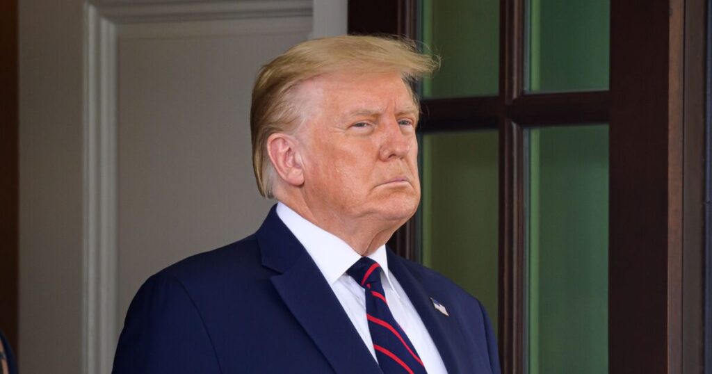 Les grandes démonstrations de pouvoir de Donald Trump pourraient en réalité montrer à quel point il est faible, affirme un expert Les grandes démonstrations de pouvoir de Donald Trump pourraient en réalité montrer à quel point il est faible, affirme un expert