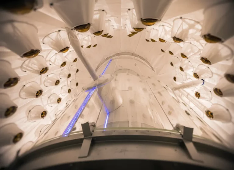 La chasse à la matière noire franchit un cap historique : ce mystérieux univers souterrain livre ses premiers secrets