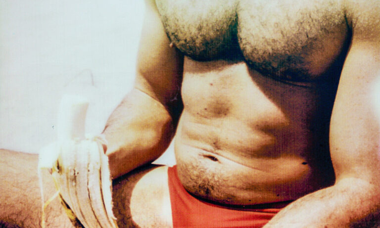 Jetez un œil à cet ensemble intime de 17 polaroïds séduisants