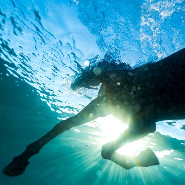 Vous souhaitez par Dream Nails