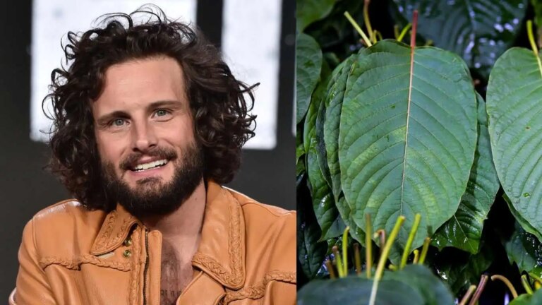 Nico Tortorella attribue au kratom végétal 11 ans d'abstinence – mais qu'est-ce que c'est ? Nico Tortorella credited the plant Kratom for his 11 years of sobriety.