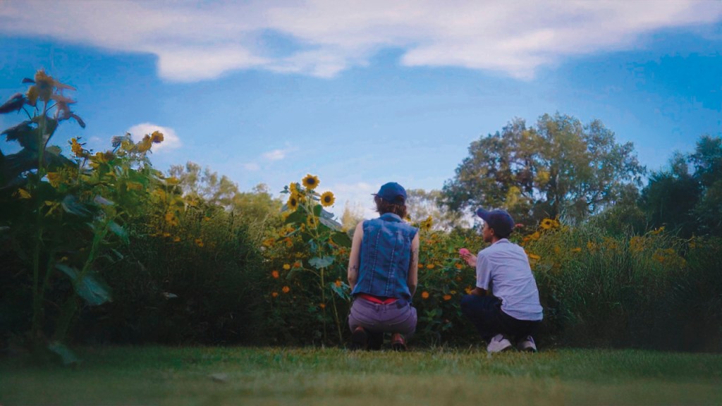 Que vais-je devenir ? image fixe : deux personnes à casquette bleue regardant un champ de tournesols, dos à la caméra