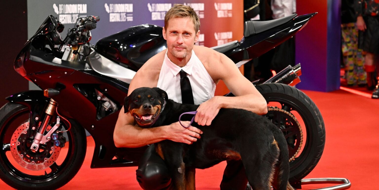 Le chien d'Alexander Skarsgård dans Pillion vient de remporter un prix d'interprétation Le chien d'Alexander Skarsgård dans Pillion vient de remporter un prix d'interprétation