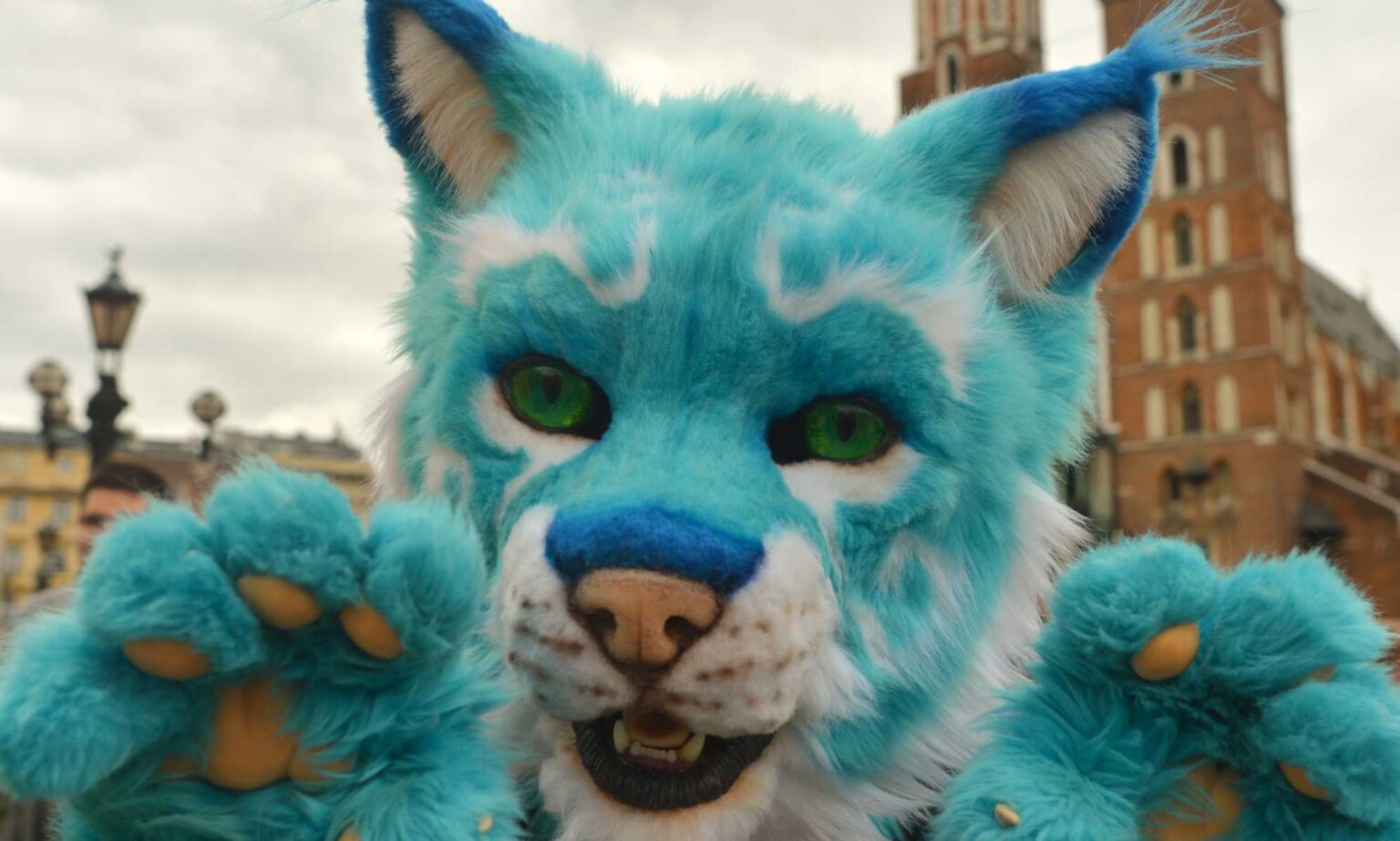 Démystifié : canular transphobe sur les bacs à litière dans les écoles pour les enfants qui « s'identifient comme chats » A blue cat fursona outfit