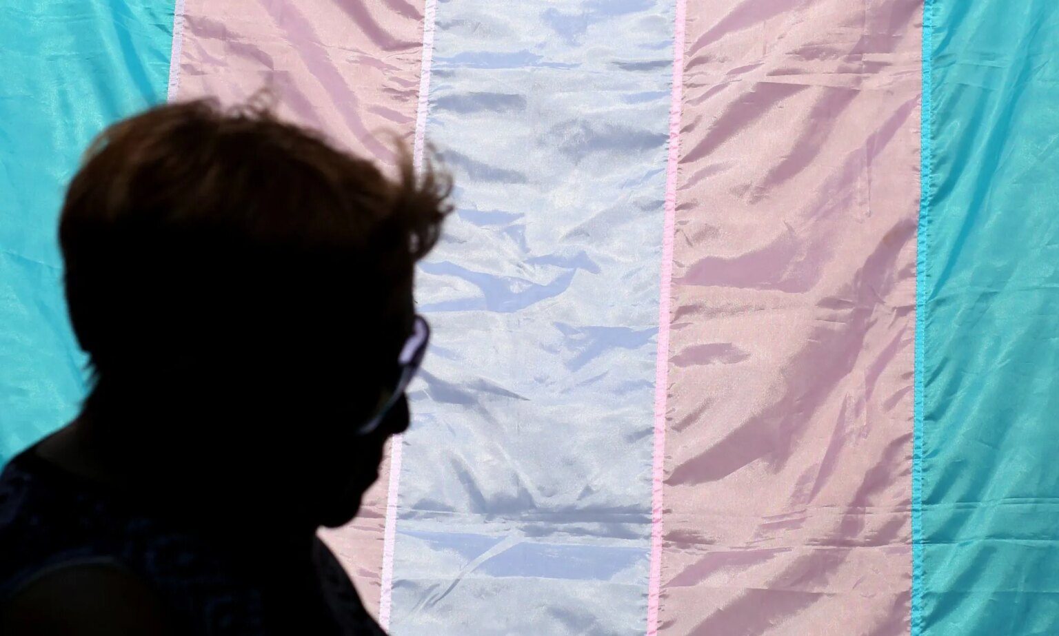 Un tribunal américain confirme l’interdiction « horrible » des soins de santé pour adultes transgenres Un tribunal américain confirme l’interdiction « horrible » des soins de santé pour adultes transgenres