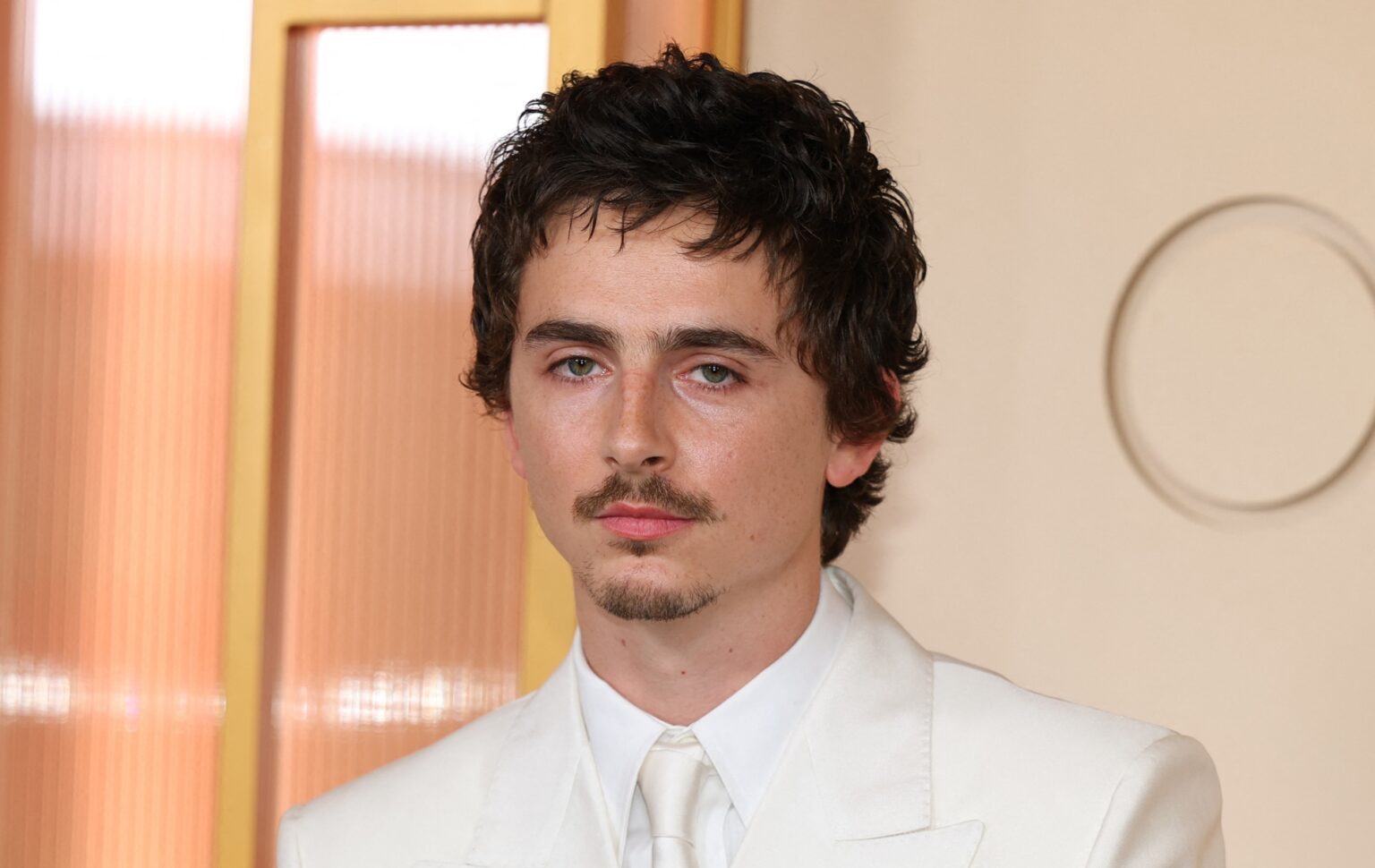 Explorer l'ascension – et la « chute » – de Timothée Chalamet alors que son plus grand fan club ferme ses portes Timothée Chalamet headshot, wearing a full white suit