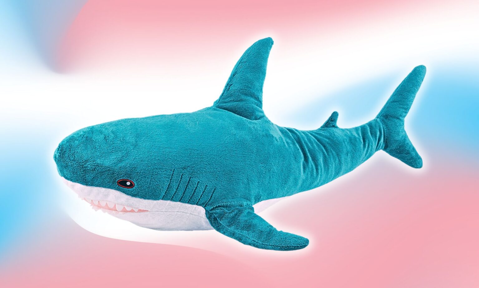 C'est ainsi que Blåhaj, le jouet requin d'IKEA, est devenu une célèbre icône trans A Blahaj shark plushie photoshopped infront of a trans gradient.
