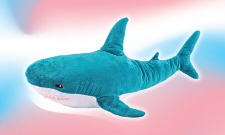 A Blahaj shark plushie photoshopped infront of a trans gradient.