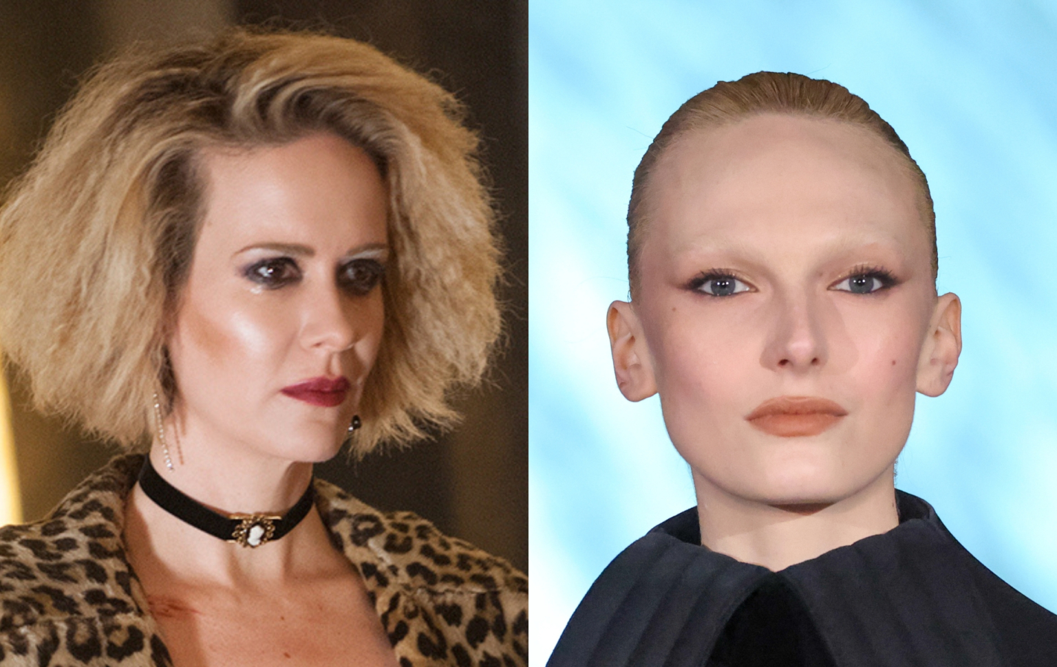 Tout ce que nous savons sur la saison 13 d'American Horror Story alors que le mannequin trans Alex Consani rejoint le casting Headshots oof Sarah Paulson and Alex Consani