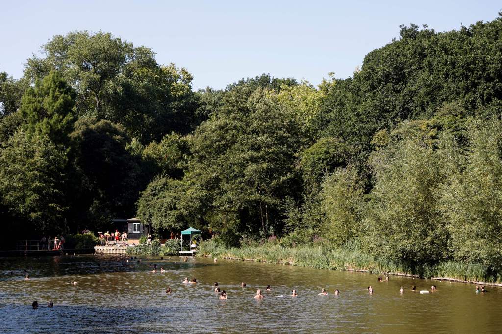 Les gens se baignent sur un étang dans le parc Hampstead Heath