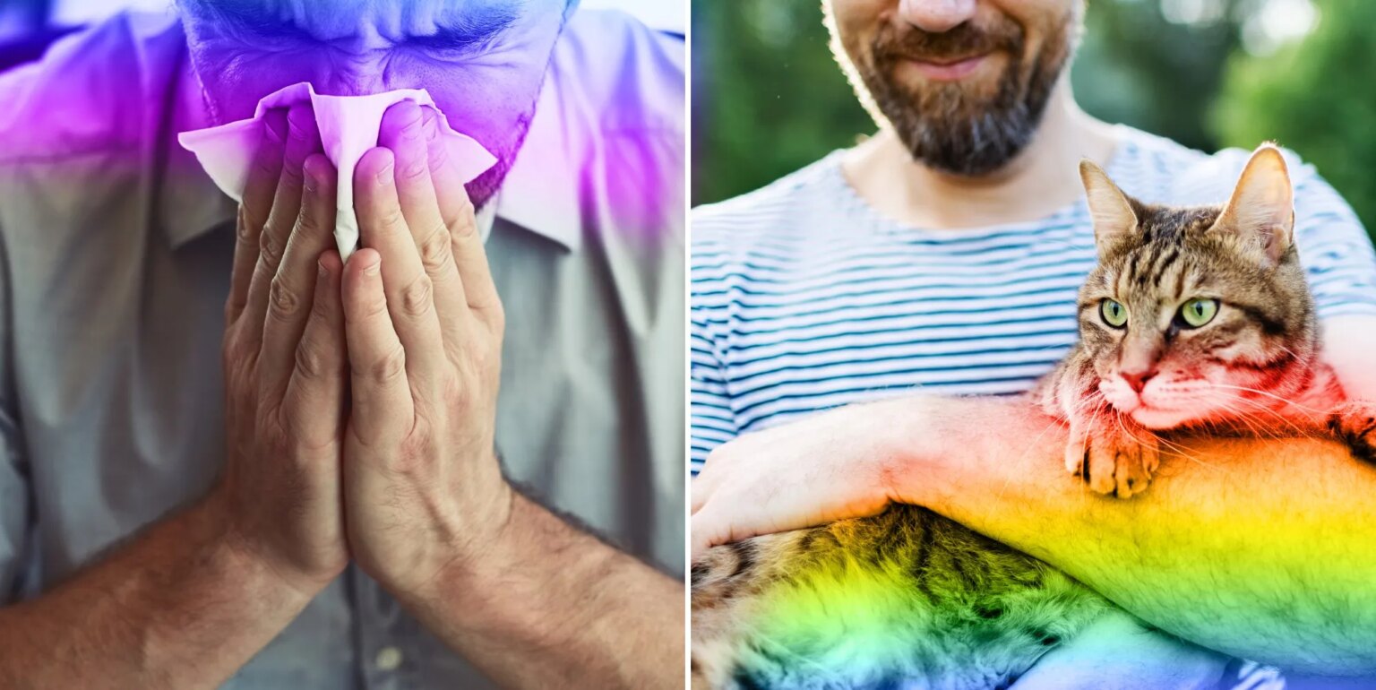 18 choses ridicules qui rendent un homme « gay », selon Internet man blowing his nose/man holding a cat