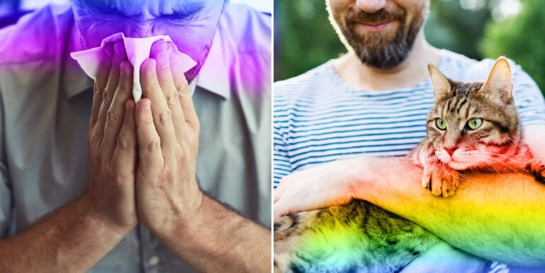 18 choses ridicules qui rendent un homme « gay », selon Internet man blowing his nose/man holding a cat