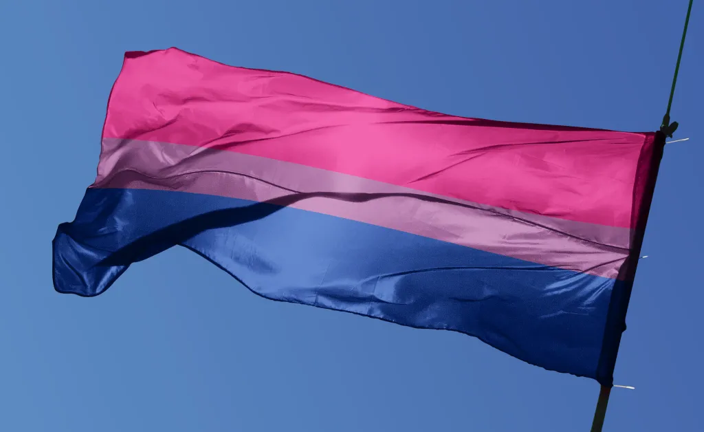 Les couleurs du drapeau de la fierté bisexuelle : rose, violet et bleu