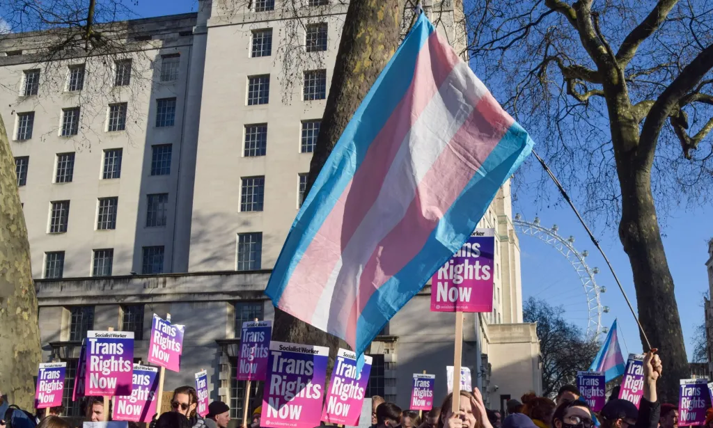 Des militants brandissent un drapeau trans lors des manifestations.