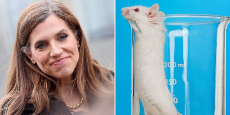 Nancy Mace s'est moquée du projet de loi contre les « expériences sur les souris trans » qui sont en réalité destinées à la recherche sur le cancer Nancy Mace