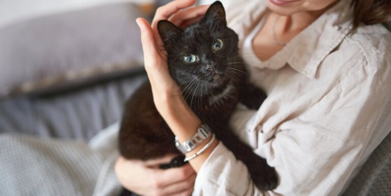 Qu'est-ce qu'une « lesbienne chat noir », comme le terme apparaît dans I Kissed A Girl ? a woman holding a black cat