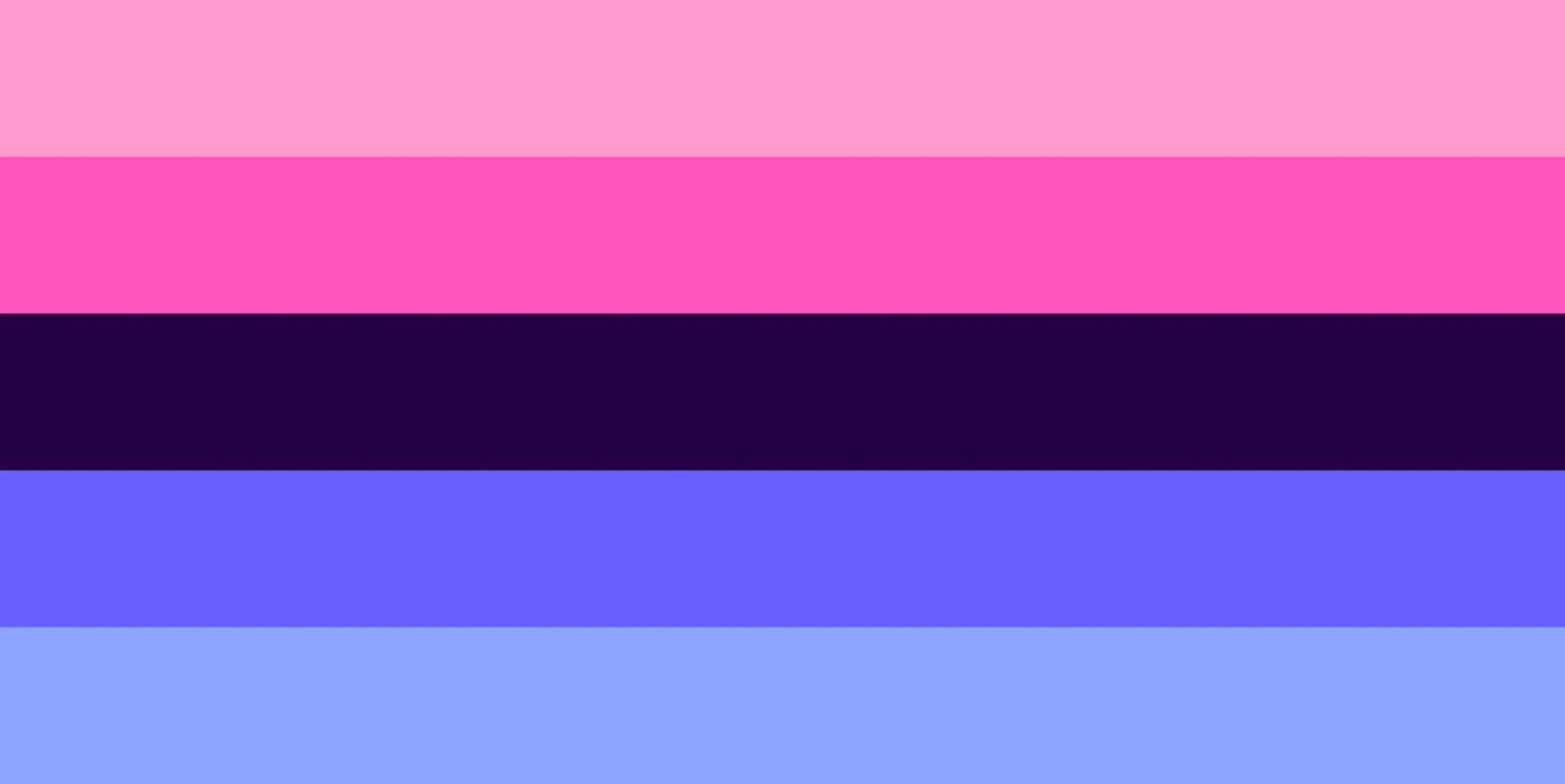 Que signifie omnisexuel et en quoi est-ce différent du pansexuel ? The omnisexual pride flag