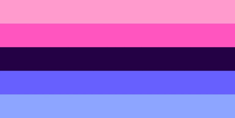 Que signifie omnisexuel et en quoi est-ce différent du pansexuel ? The omnisexual pride flag