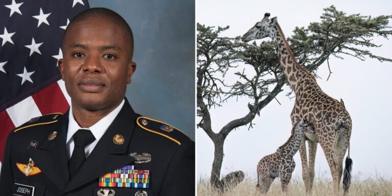 Un candidat républicain de Floride affirme que les girafes prouvent que tout le monde est « né hétéro » Rod Joseph reckons giraffes prove people are