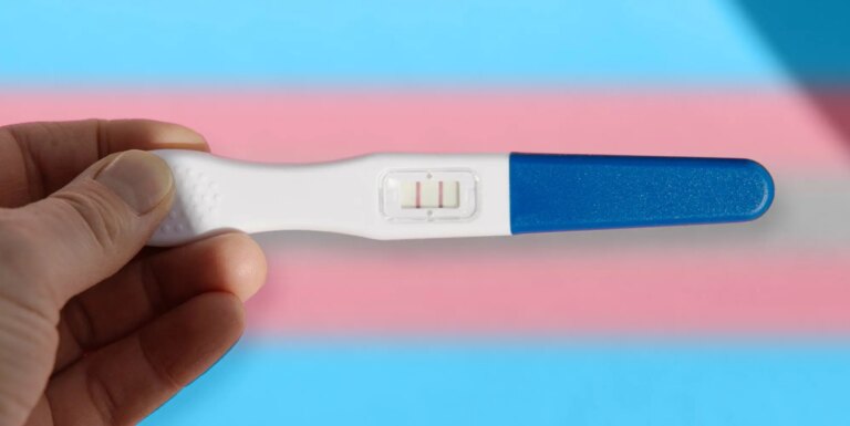 Les hommes trans pourraient être confrontés à des taux de fausses couches plus élevés, car une étude recommande davantage de recherches person holding a pregnancy test over trans flag colours