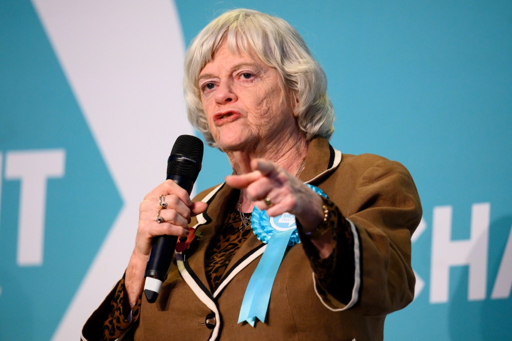 Ann Widdecombe sur scène dans un costume marron prononçant un discours