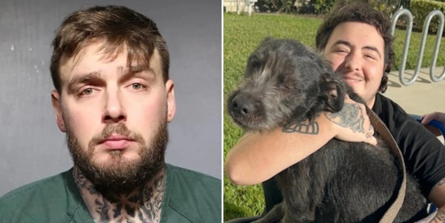 Un homme de Floride condamné à 7 ans de prison pour avoir paralysé un voisin LGBTQ+ après des mois de harcèlement Tyler Getchell (left) has been jailed for seven years for shooting neighbour Kyle McFarlane (right)