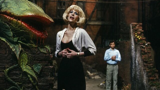 Ellen Greene revient dans le rôle d'Audrey pour la tournée du 40e anniversaire de « Little Shop of Horrors » Ellen Greene revient dans le rôle d'Audrey pour la tournée du 40e anniversaire de "Little Shop of Horrors"