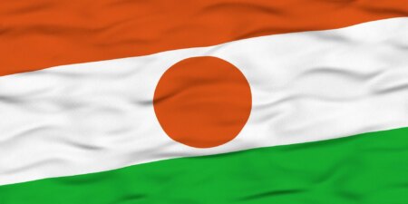 Jusqu'à 40 personnes arrêtées lors d'une « chasse aux sorcières » militaire au Niger pour activités sexuelles LGBTQ+