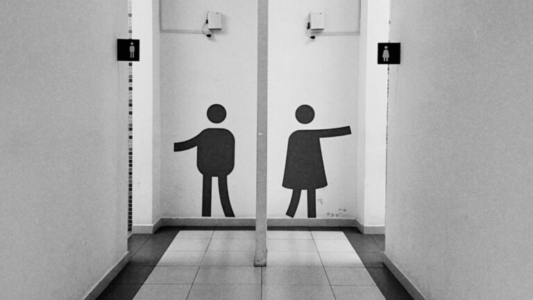 Les Trans de l'Idaho partagent une carte secrète des toilettes sécurisées au milieu d'une nouvelle interdiction de l'État Logo