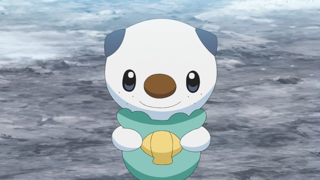 Oshawott : un Pokémon aux allures de koala/ours en peluche