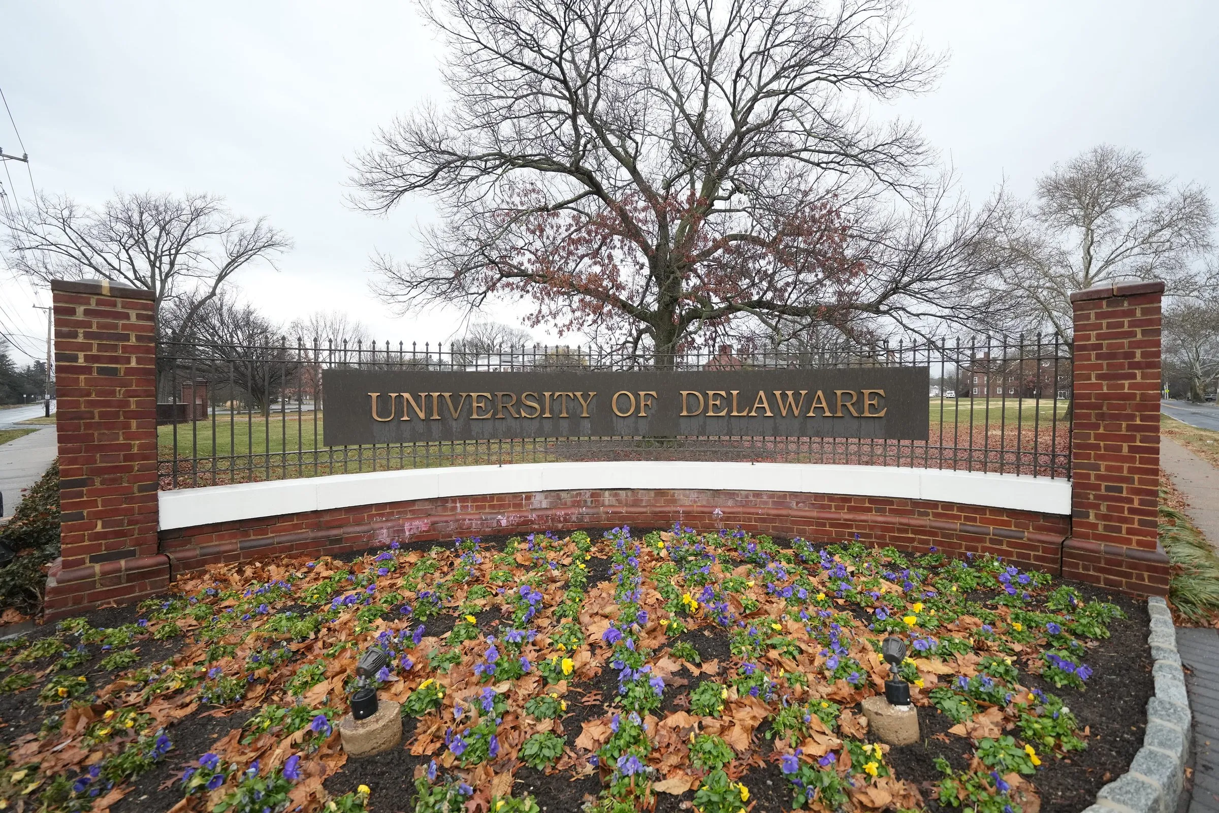 L'entrée de l'Université du Delaware est présentée avant un match de basket-ball universitaire entre les Missouri State Bears et les Delaware Fightin' Blue Hens au Bob Carpenter Center le 29 décembre 2025 à Newark, Delaware.